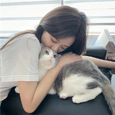 哈伊